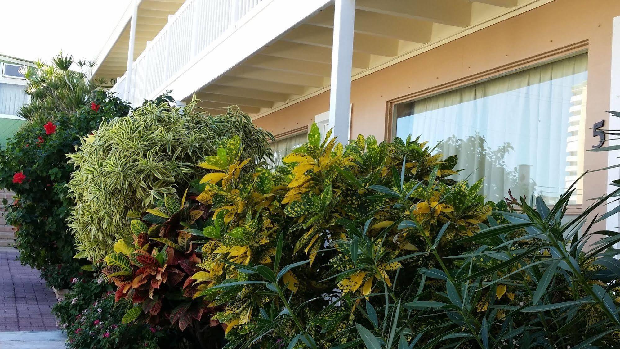 The Palms On Ocean Μοτέλ Pompano Beach Εξωτερικό φωτογραφία